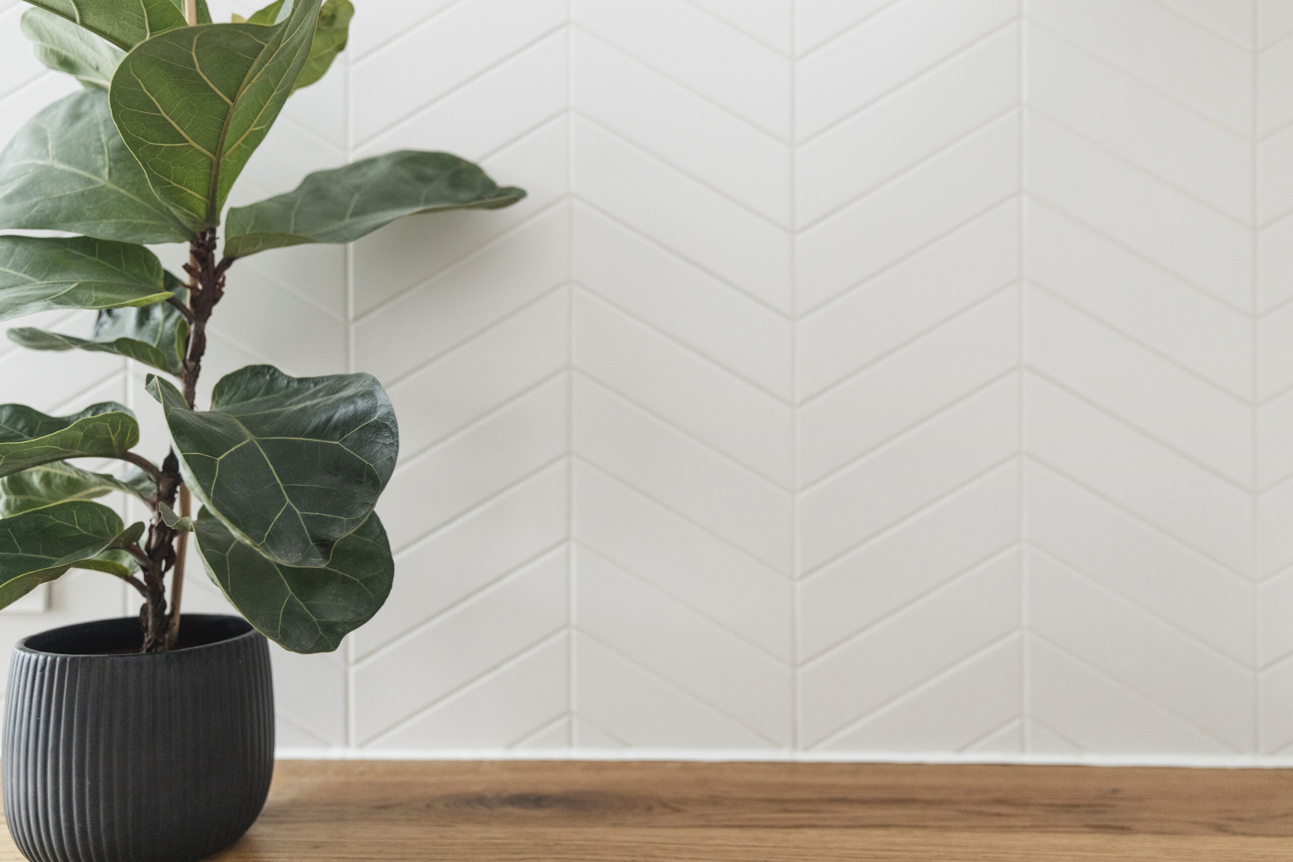 Rentowne wnętrze Zuzanna Bartoszewska Kałuc